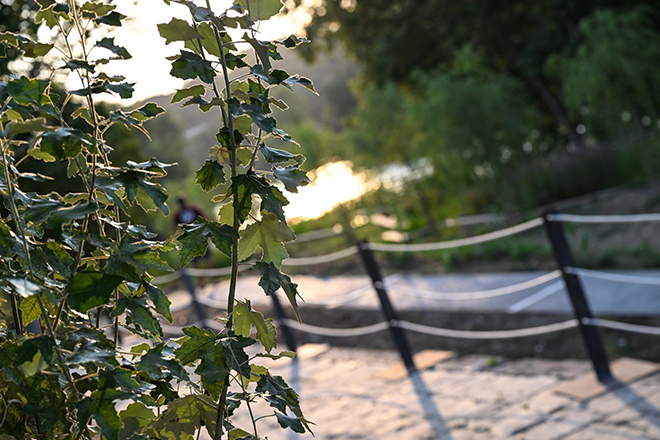 Inaugurazione Parco Tiberis (luglio 2026)