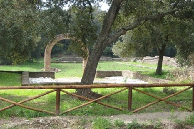 Interventi su alberature a rischio cedimento della Villa di Plinio